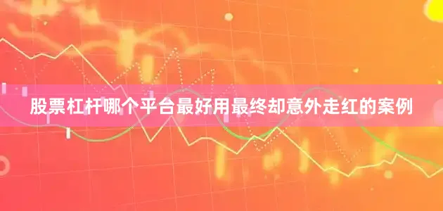 股票杠杆哪个平台最好用最终却意外走红的案例