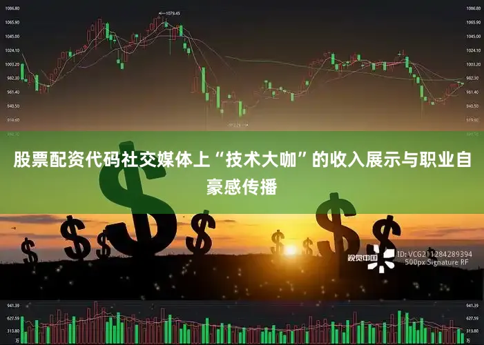 股票配资代码社交媒体上“技术大咖”的收入展示与职业自豪感传播