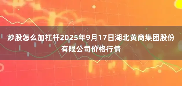 炒股怎么加杠杆2025年9月17日湖北黄商集团股份有限公司价格行情