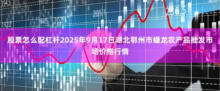 股票怎么配杠杆2025年9月17日湖北鄂州市蟠龙农产品批发市场价格行情