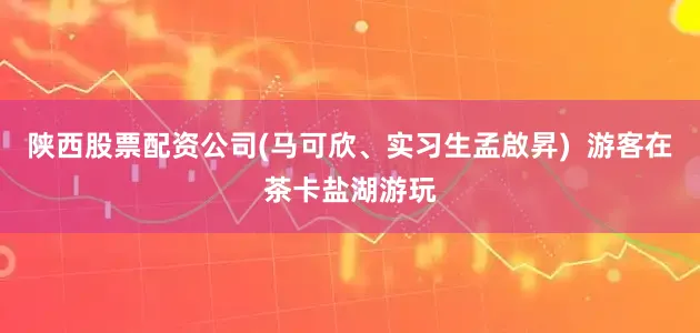 陕西股票配资公司(马可欣、实习生孟啟昇)  游客在茶卡盐湖游玩